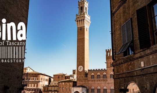 cover Seina savored the aroma of the Thascanee flower at Seana.