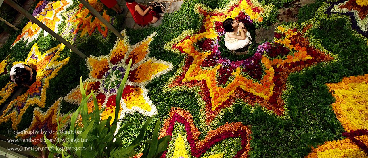 cover Blossoming Flowers Celebrate "70 Years of Central Department Store" with a Stunning 16-Meter Floral Carpet.