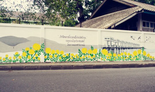 Cover Street Art: Art in the Heart of Nakhon Si Thammarat City, Paintings ...