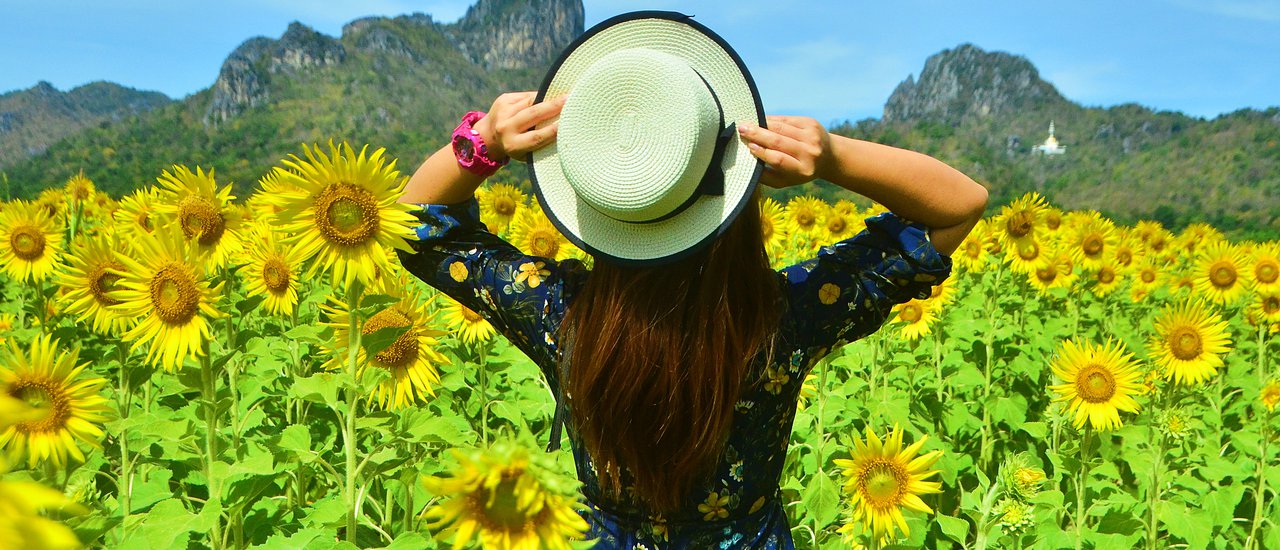 cover Sunflower Field @ Khao Chin Lae, Lopburi 

This translation aims to be concise, informative, and maintain a simple and short tone. It avoids personal pronouns and colloquialisms, and focuses on providing the essential information about the location.