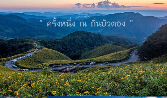 Cover Once upon a time, in the land of Bua Tong, Khun Yuam, Mae Hong Son....