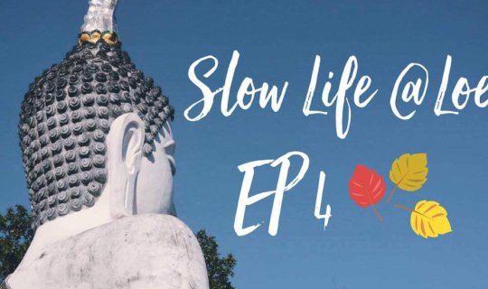 Cover Slow " เลย " Slow life [ EP 4 Silver Buffalo Temple ]...