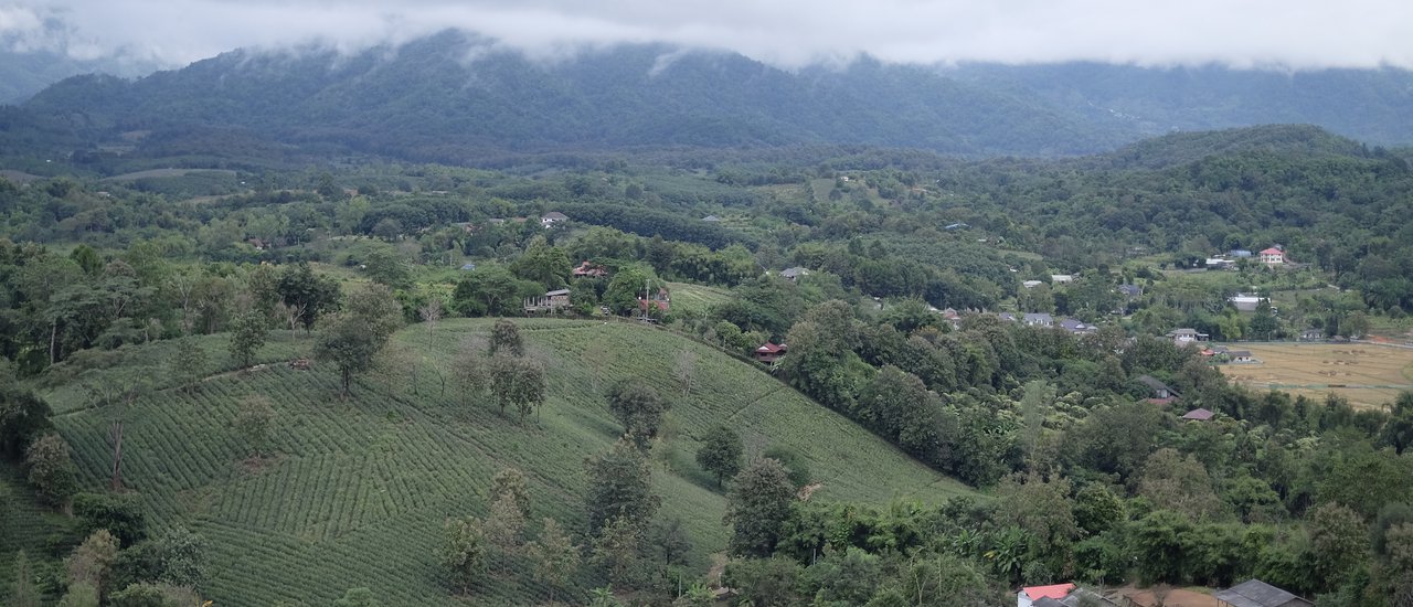 cover Wat Huay Pla Kang: Revering the Bodhisattva Guanyin and Enjoying 360° Views of Chiang Rai