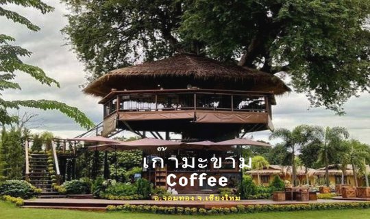 Cover Khao Makham Coffee: A New Landmark for Panoramic Coffee Experiences ...