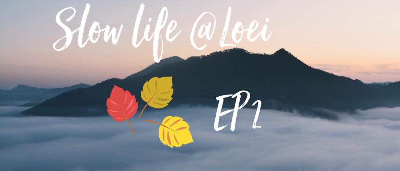 cover Slow " เลย " Slow life [ EP 2 ภูทอก ]

English 

Slow " Like " Slow life [ EP 2 Phutok ]