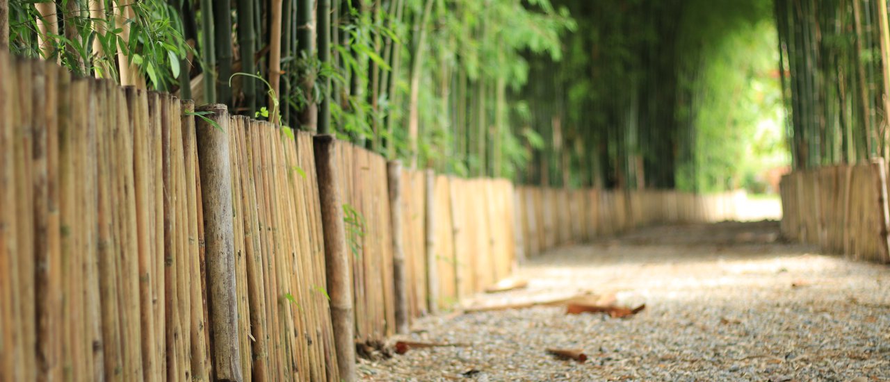 cover Bamboo Tunnel: A New Check-in Spot in Chiang Mai
The Bamboo Tunnel, a new check-in spot in Chiang Mai, offers a unique and immersive experience for visitors.