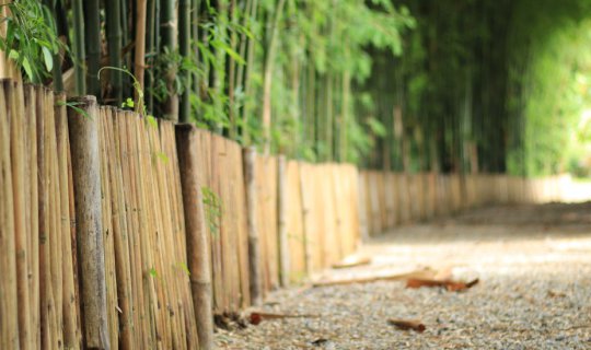 Cover Bamboo Tunnel: A New Check-in Spot in Chiang Mai

The Bamboo Tunnel,...