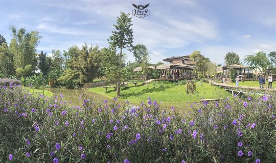 cover New Landmark Destination: "Baannok Khokna" and Secret Art Garden in Khao Yai (Don't miss it!)