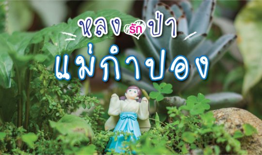cover Explore the "Mae Kampong" Forest and Savor the Taste of Coffee