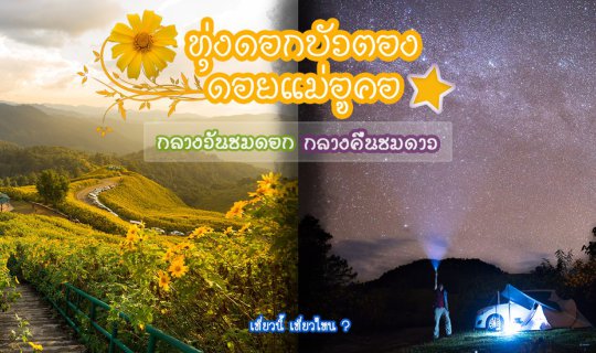 Cover Doi Mae U Kho's Sea of Golden Tong Flowers: Witness the Blossoms by ...