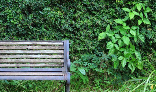 cover Lanna wooden clogs: Simple, elegant, and good.