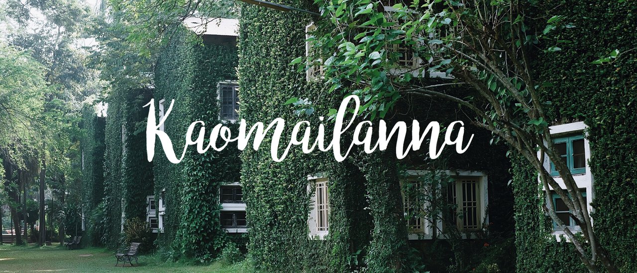 cover Northern Thai Wooden Comb