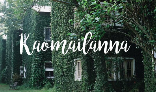 cover Northern Thai Wooden Comb