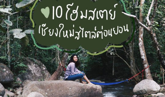 cover Chiang Mai's Most Comprehensive Review: Episode 3 | 10 BlissOutThere-Style Chiang Mai Homestays