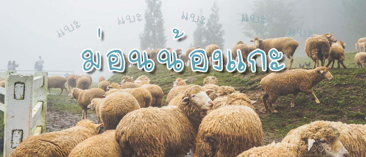 cover .:: Let's go to the sheep farm together @ Mon N้องแกะ ::.