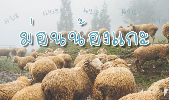 Cover .:: Let's go to the sheep farm together @ Mon N้องแกะ ::....