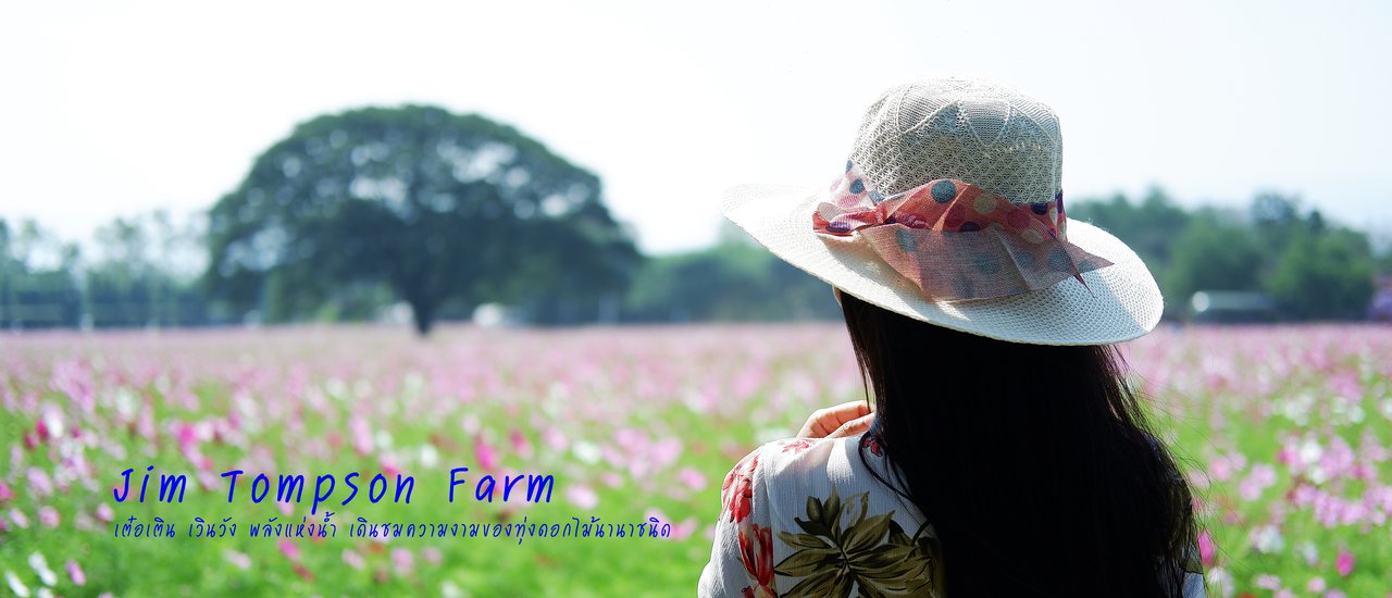 cover Jim Thompson Farm: Immerse yourself in the vibrant hues of cosmos and a diverse array of flowers.