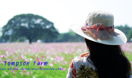 cover Jim Thompson Farm: Immerse yourself in the vibrant hues of cosmos and a diverse array of flowers.