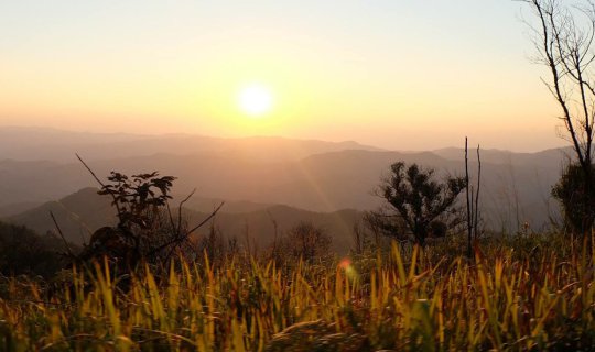 cover This winter in Chiang Rai (Doi Kad Phi @Chiang Rai)