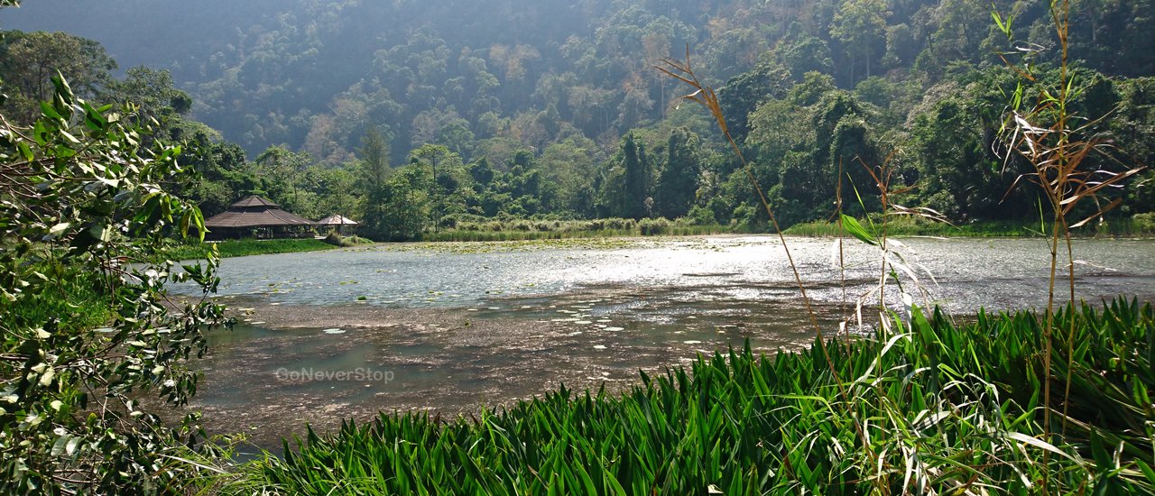 cover ท่องเมืองมัสยิดงาม ตามหาหมาน้ำ อุโมงค์แสงมรกต และทุ่งใบไม้เปลี่ยนสี