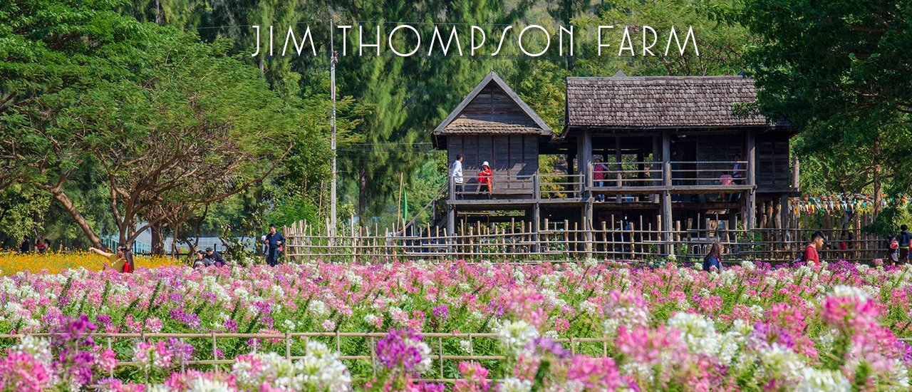 cover The following is a translation of the Thai sentence "ไปรับลมหนาว ชมทุ่งดอกไม้ที่ไร่ จิมทอมสัน ฟาร์ม กันเถอะ" into English:
Let's go and enjoy the cool breeze and admire the flower fields at Jim Thompson Farm.