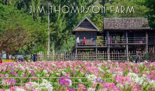 cover The following is a translation of the Thai sentence "ไปรับลมหนาว ชมทุ่งดอกไม้ที่ไร่ จิมทอมสัน ฟาร์ม กันเถอะ" into English:
Let's go and enjoy the cool breeze and admire the flower fields at Jim Thompson Farm.