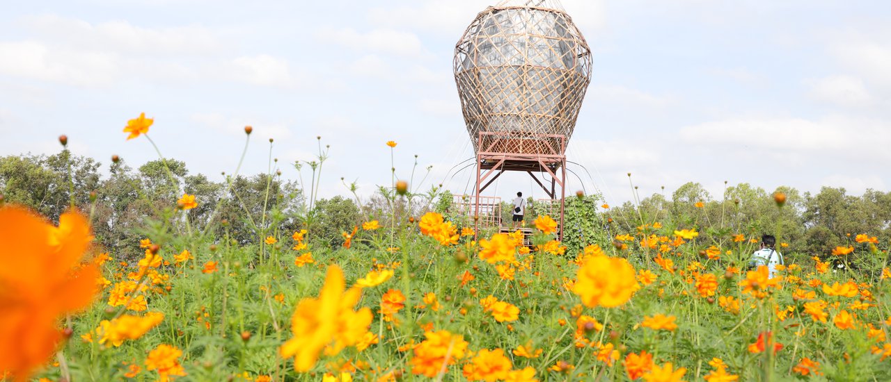 cover Carrying a Canon EOS 6D Mark II camera to capture the flower fields at Jim Thompson Farm.