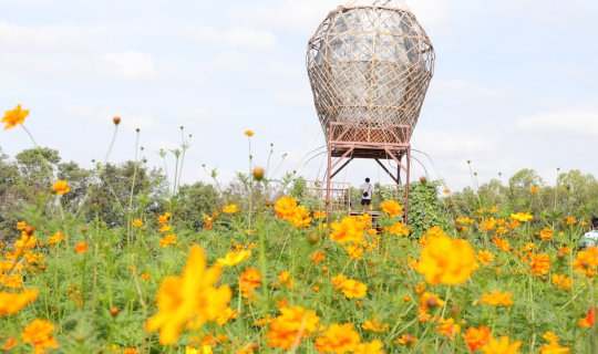 Cover Carrying a Canon EOS 6D Mark II camera to capture the flower fields ...