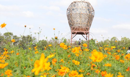 cover Carrying a Canon EOS 6D Mark II camera to capture the flower fields at Jim Thompson Farm.