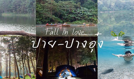 Cover Pai - Pang Ung: Escape the City, Embrace the Forest, and Feel the Wi...