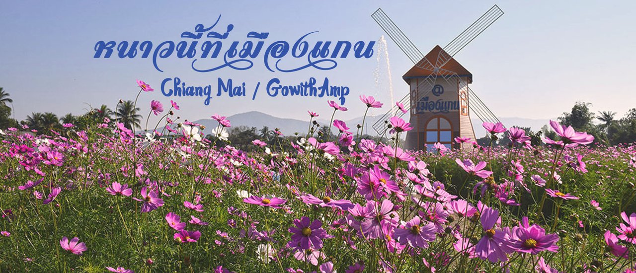 cover This winter in Mae Taeng District, Chiang Mai Province.