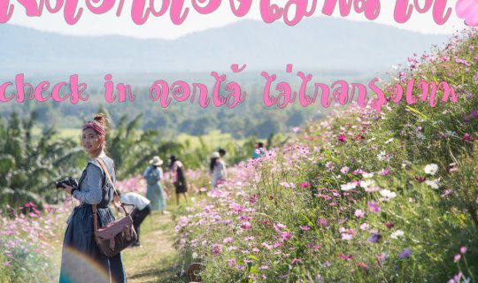 cover 7 Must-Visit Check-In Spots for Flower Lovers 🌸