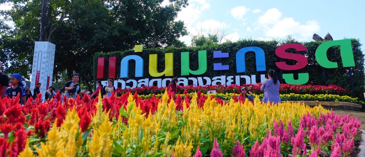 cover Makrut lime trees in Uthai Thani, the coldest place in central Thailand, bloom beautifully amidst the mountains.