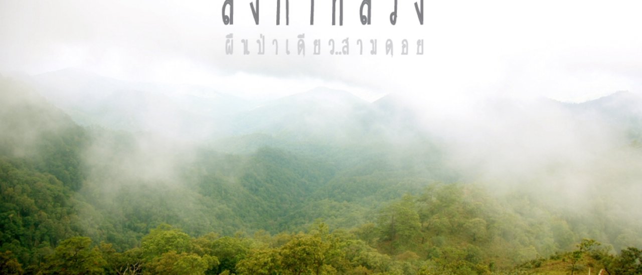 cover The path to test your heart, prove your physical strength, the forest of the high and mighty Khun Nam Nang, the sky-high Doi Langka Luang - Doi Langka Noi.