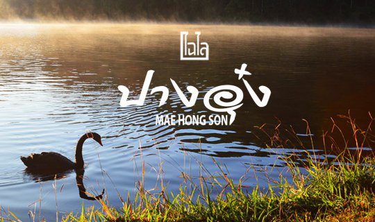 cover Camping in the cold at Pang Ung, Mae Hong Son.