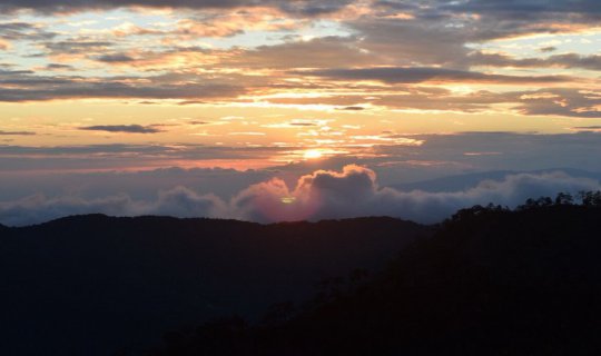 cover New Friendships in the Royal City of Lanka