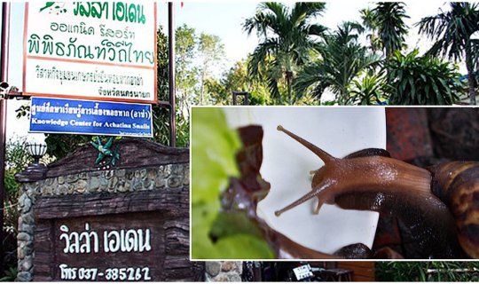 cover Visit a snail farm demonstration and launch of Acha Snail Serum in Nakhon Nayok.