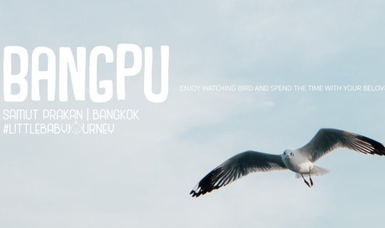 cover Not everyone lays carpets, but this is Bang Pu | One Day Trip