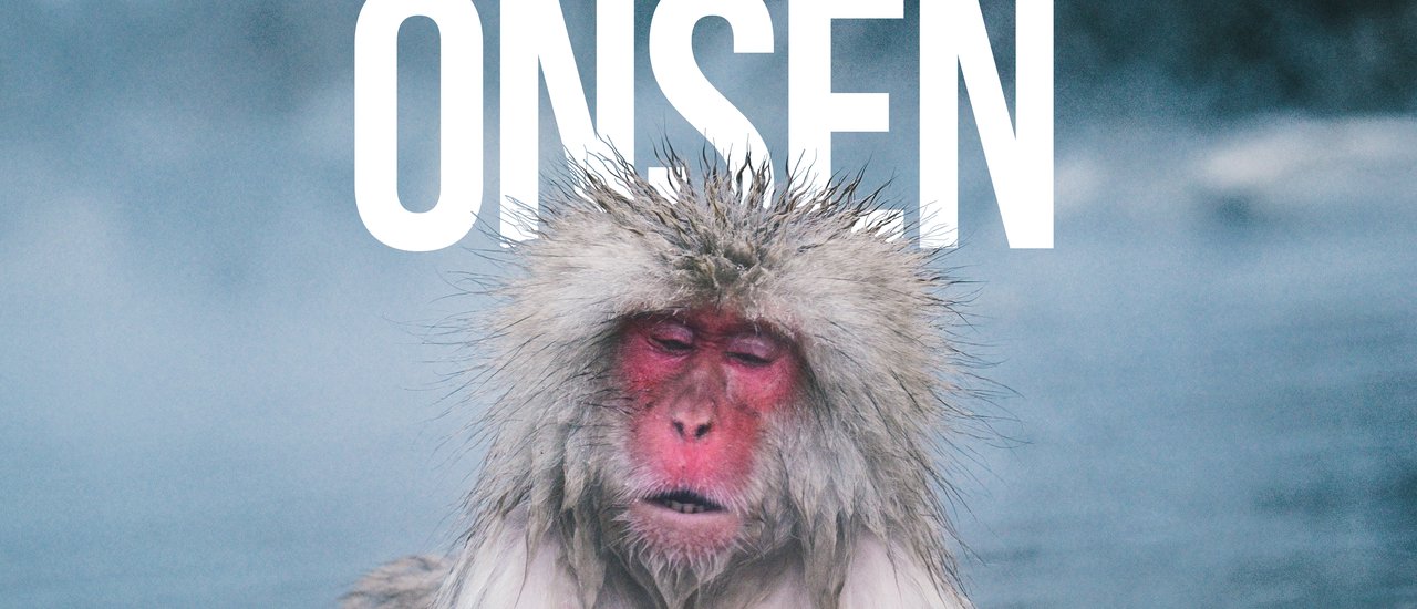 cover Monkey chills in an onsen in Nagano.