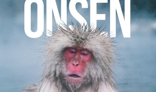 Cover Monkey chills in an onsen in Nagano....