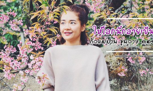 cover Pink World - A Winter Trip to Chiang Mai with Tiger Lilies