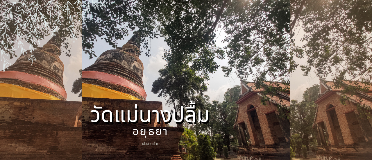 cover วัดแม่นางปลื้ม - ตำนานพระองค์ดำเสวยน้ำจัณฑ์