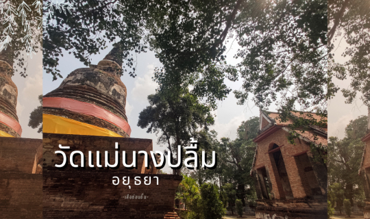 Cover วัดแม่นางปลื้ม - ตำนานพระองค์ดำเสวยน้ำจัณฑ์...