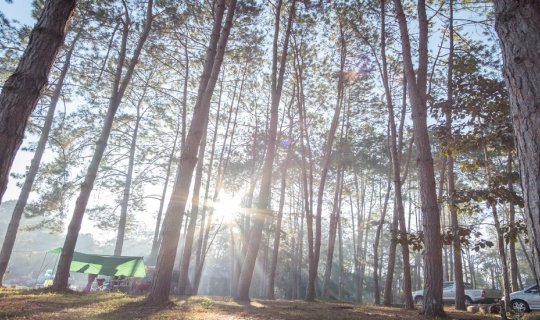 cover "Let Phitsanulok be more than just a stopover. Explore the wonders of Thung Salaeng Luang National Park."