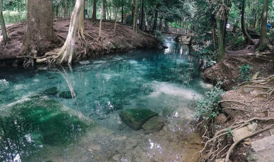 Cover Natural Spring at Ban Tha Chang, Pak Chong...