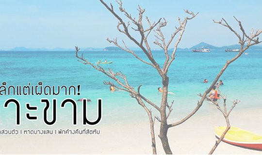 Cover Short and Spicy: Koh Kham Island! 🌶️ 🏝️...