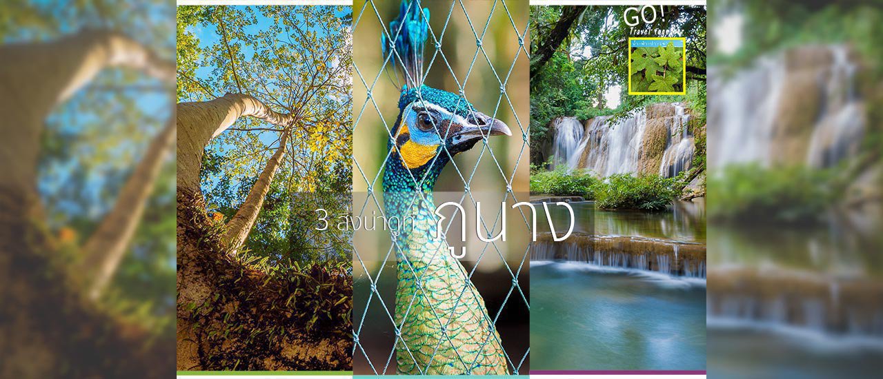 cover 3 interesting things to see at  Phu Nang National Park