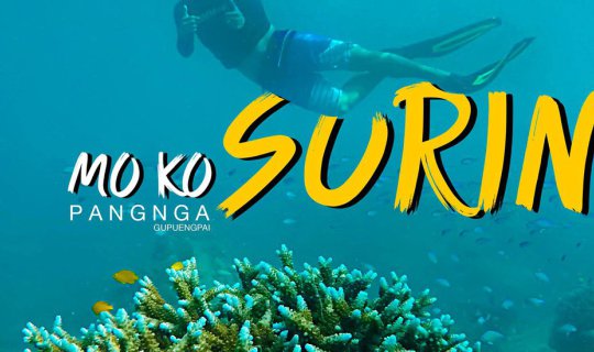 Cover Dive, see coral, listen to the waves at the Surin Islands....