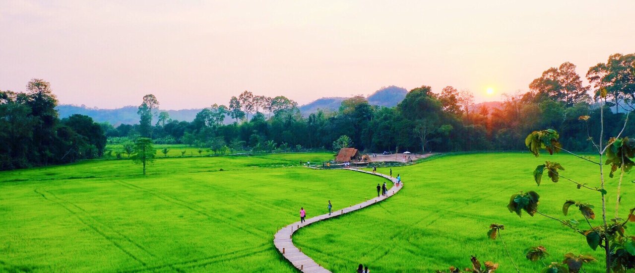 cover Thung Nam Mui Bridge: Relax by the Rice Fields - Watch the Sunset