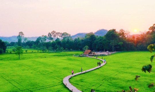 cover Thung Nam Mui Bridge: Relax by the Rice Fields - Watch the Sunset